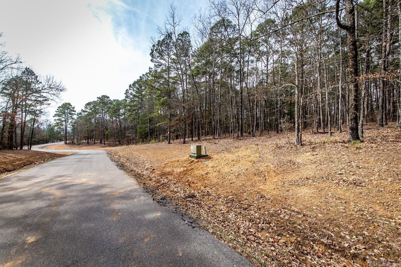 Just what the doctor ordered. Four lakeview/front tracts containing 3 m/l acres. Minimum restrictions and all utilities underground (will need to be perked), including fiber internet. Paved streets, secluded and private feel with all the pleasure's of LAKE LIFE. Don't miss out.