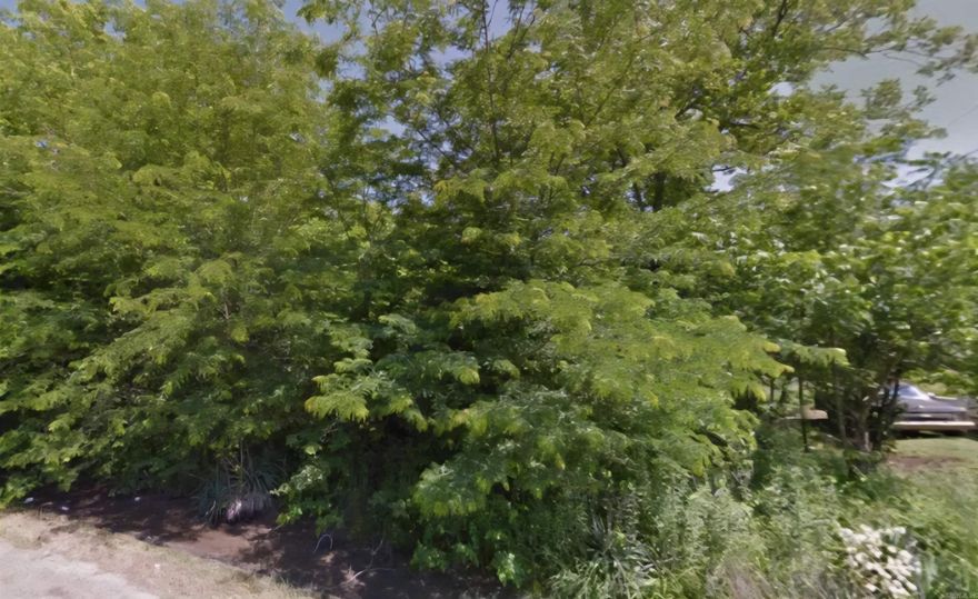 This is a .34 (+/-) acre lot is Dermott that is level and partially wooded. Build a home or place a manufactured home that is only minutes away from local amenities and just west of the Mississippi border. No owner financing available. Property conveys a Limited Warranty Deed only. Call or text for more information. County Records say Elk Street.