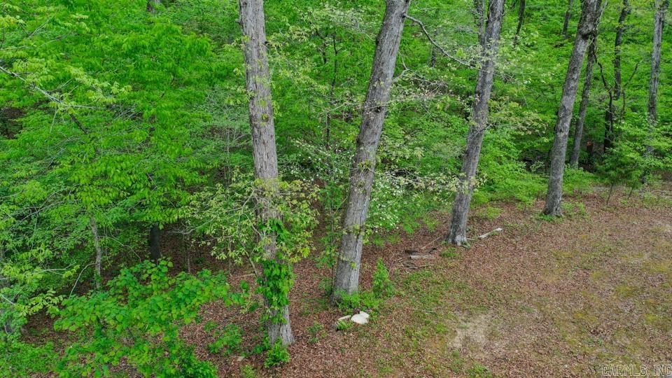 BEARCE - Residential