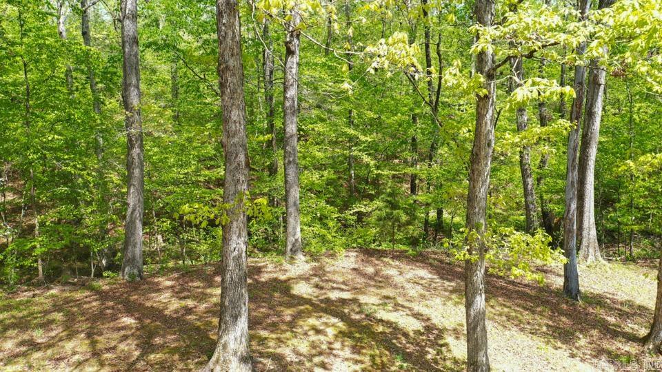 BEARCE - Residential