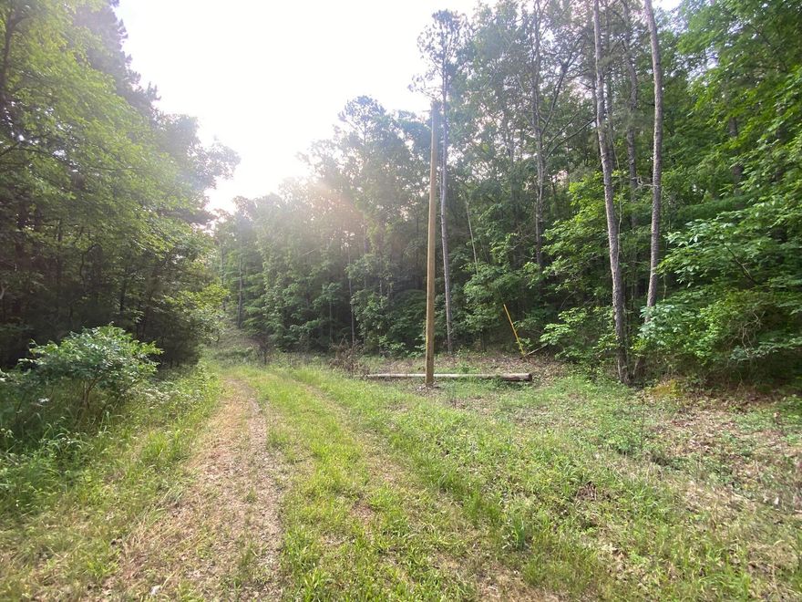 Take advantage of 5 lots to call home! This property is located 13 mins from Choctaw Park & Greers Ferry Lake! Per electric company electric is available but not on property. Per Bee Branch Water Association, water is at the road from the eastern side of the property but is not on the property. A septic tank would be needed for this property. No property disclosure available. Lot 188, 189, 190, 191 and 192 all block 2 of Greentree Subdivision Agents, see remarks!