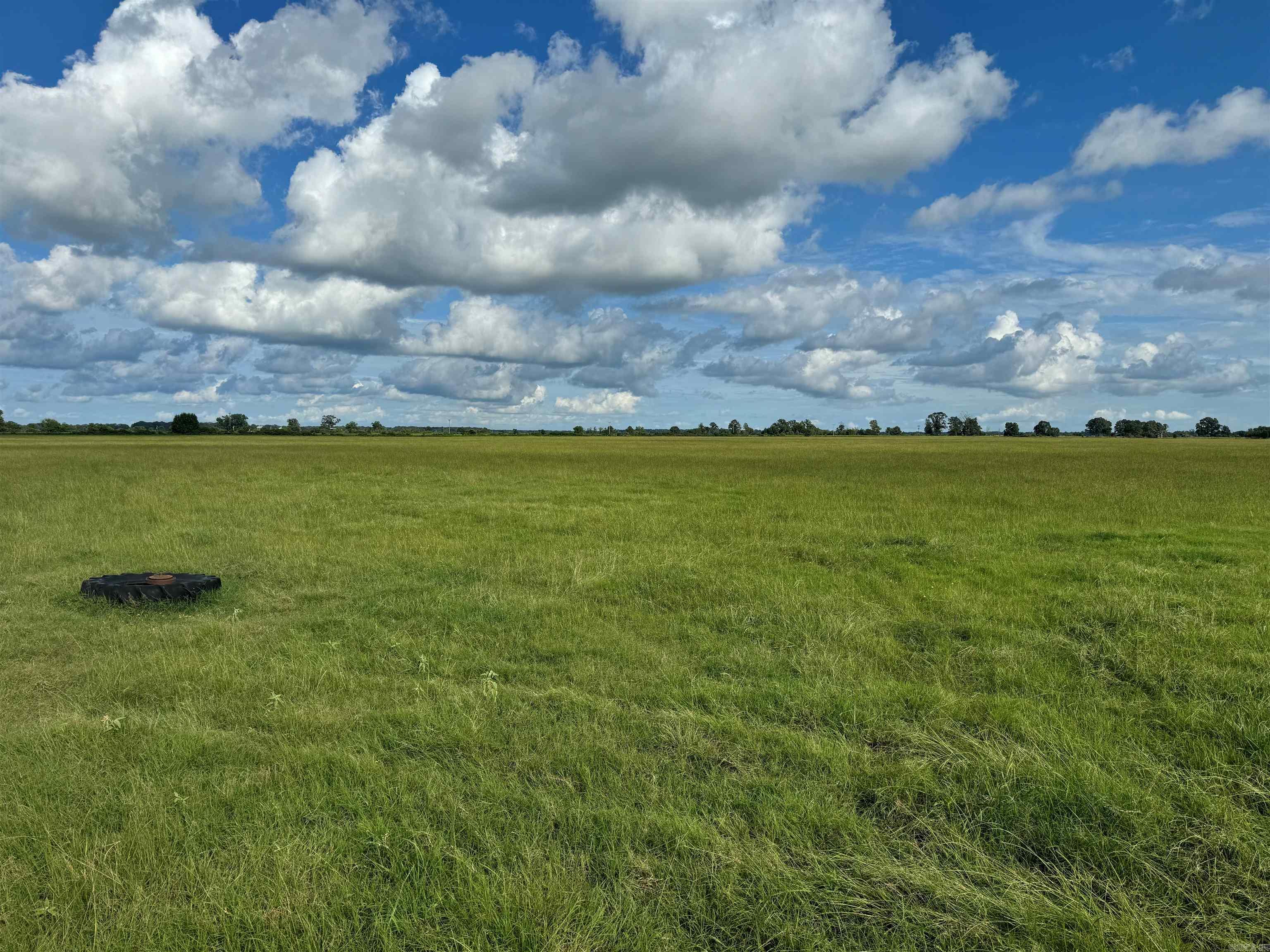 40 acres off Hwy 89!! Close to the intersection of Hwy 89 and Hwy 15.
