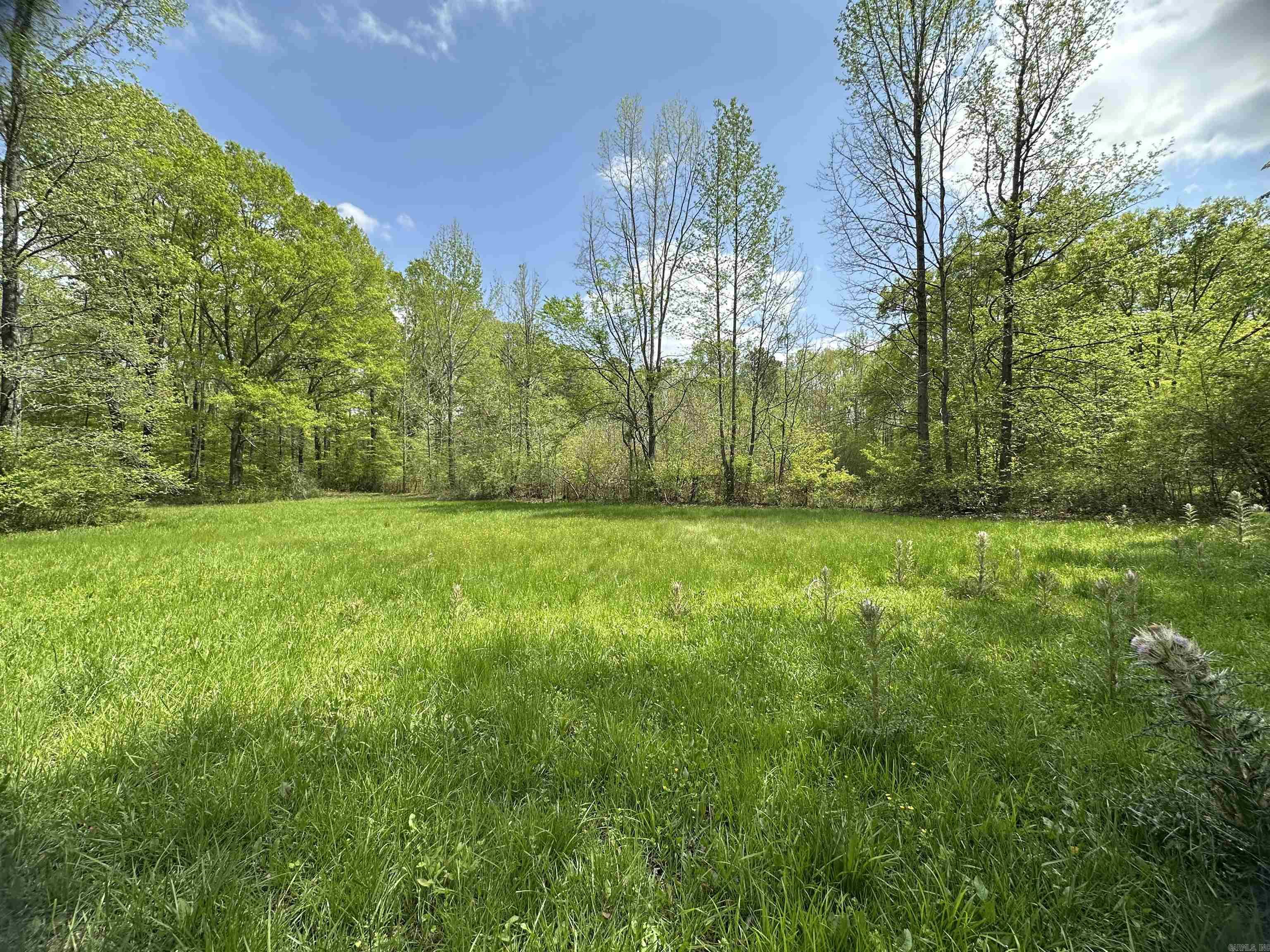 The possibilities here are end less. You could either live in the shop house and with a little TLC make it a home or stay there temporarily and build your dream home on the land with septic, water, and electricity already in place. Come see it and let your imagination wander!