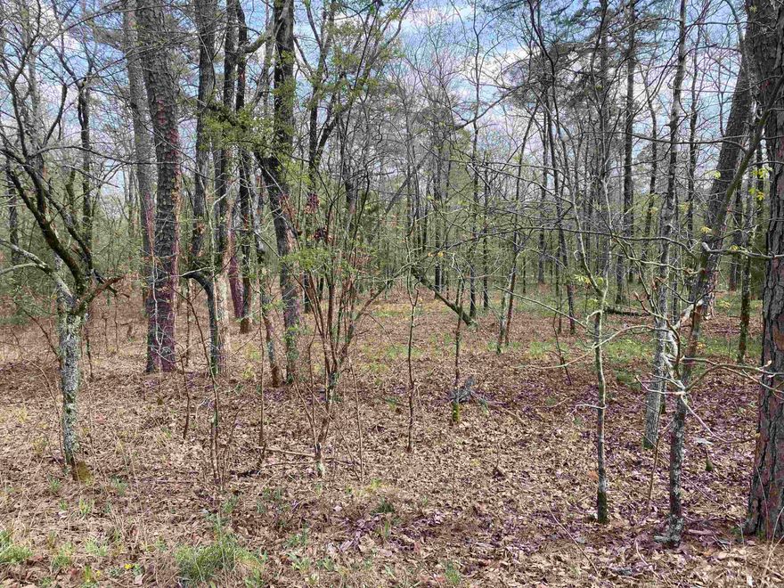 This vacant lot offers a unique opportunity to build a custom residence amidst the natural beauty and tranquility of one of the largest gated communities in the United States.