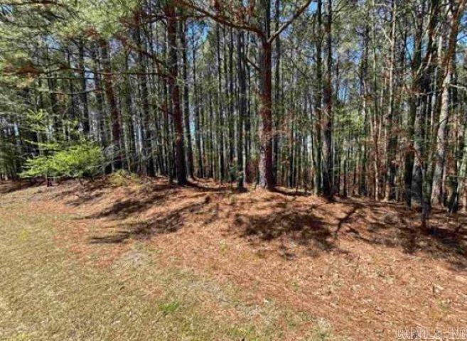 Don’t miss this opportunity to own a lot in Hot Springs Village to build your dream home with a house plan on file for you! This community has plenty to offer, from tennis courts, swimming pools, lakes, golf courses & other amenities. With the added security of a gated community & nightly rentals being allowed, what more could you ask for? Please see neighboring lot MLS #25000116 for sale as well!