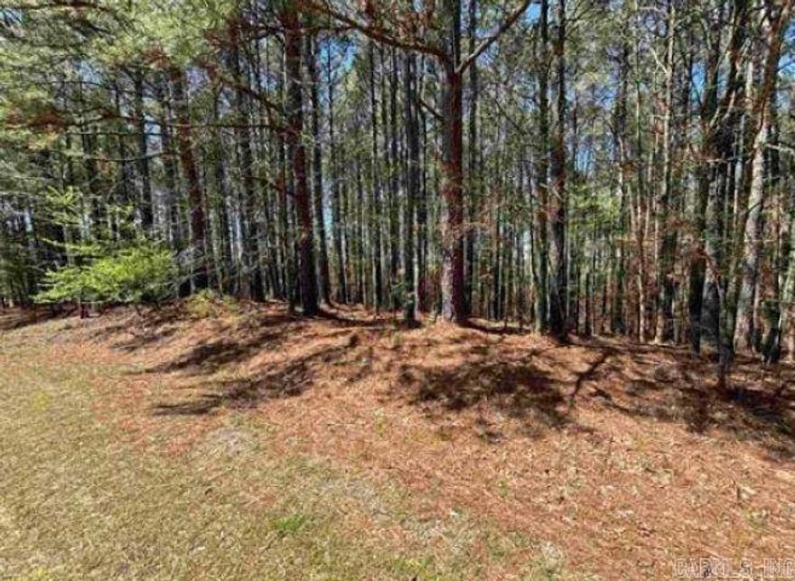 Don’t miss this opportunity to own a lot in Hot Springs Village to build your dream home with a house plan on file for you! This community has plenty to offer, from tennis courts, swimming pools, lakes, golf courses & other amenities. With the added security of a gated community & nightly rentals being allowed, what more could you ask for? Please see neighboring lot MLS #25000116 for sale as well!