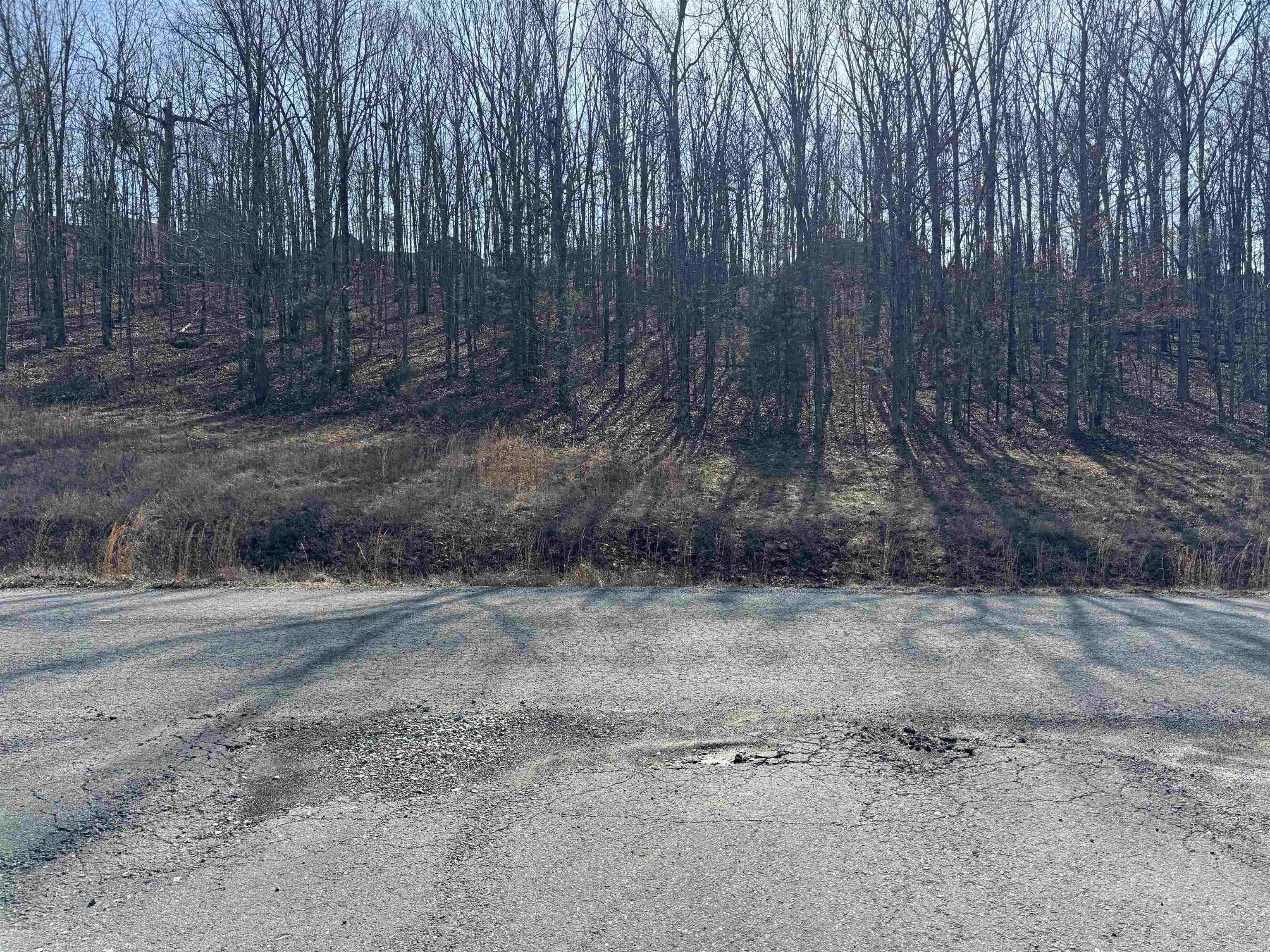Welcome to Mountain Ranch Estates! This is a private gated community with large lots for all property owners. Lot 58 has a partial view of the community lake. The Sellers have had this lot perc tested in the past with success. This lot is within the Cabot School District. Approx 20 minutes from Cabot High School and only a few minutes from 67/167. Come checkout Mtn Ranch Estates! See Agent Remarks.