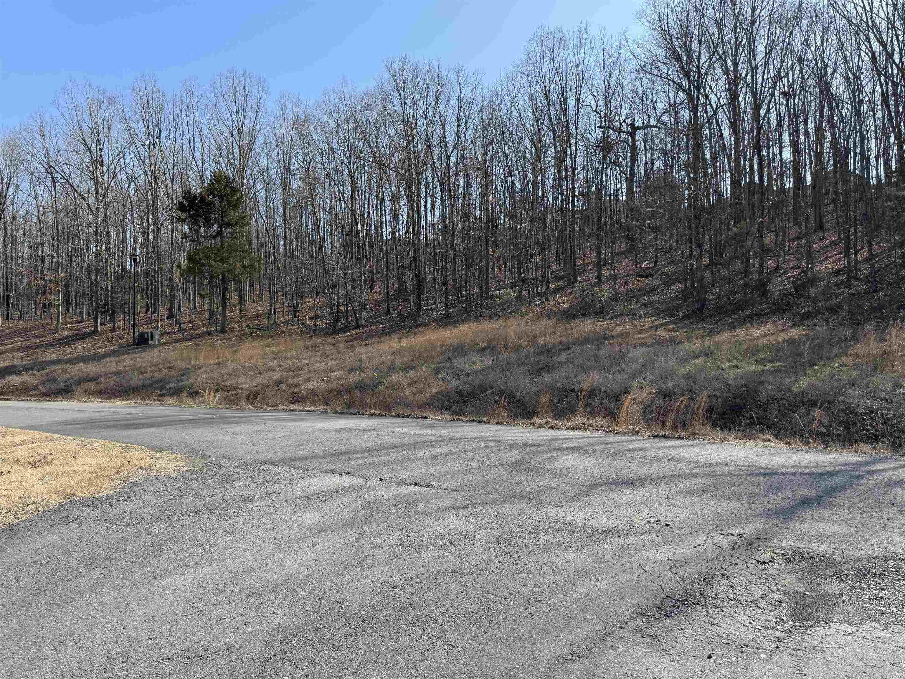 Mountain Ranch Estates - Land