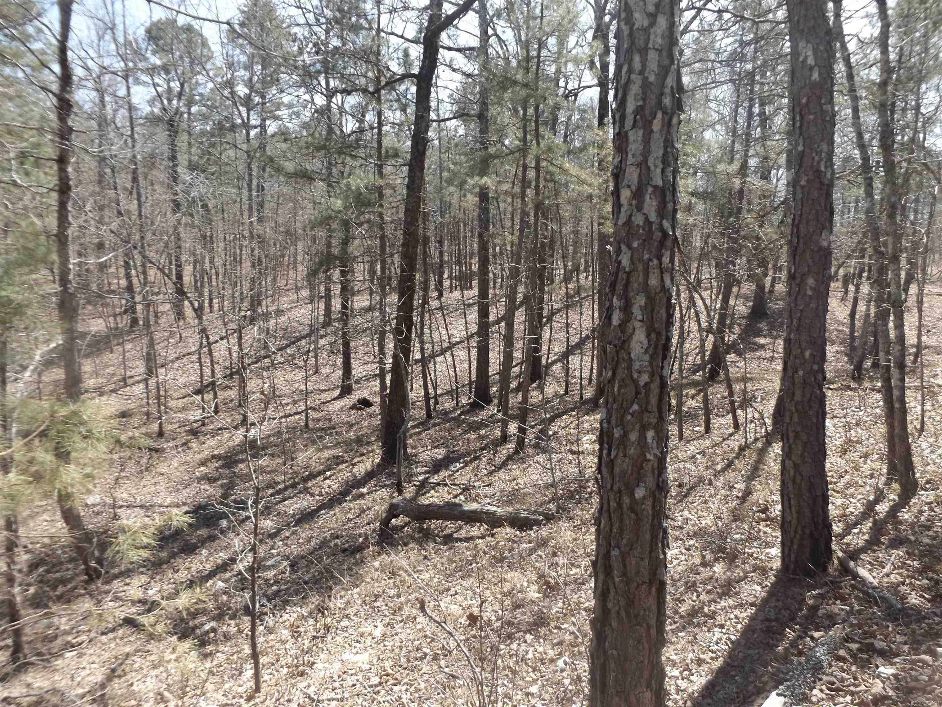 Not in Subdivision - Land