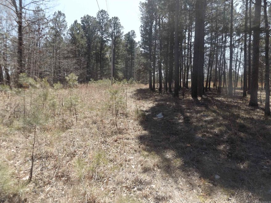Looking for that perfect property to build your home near the lake? This is it! 1.81 acres M/L. Unrestricted and just minutes from Norfork Lake and Norfork River! Electric available