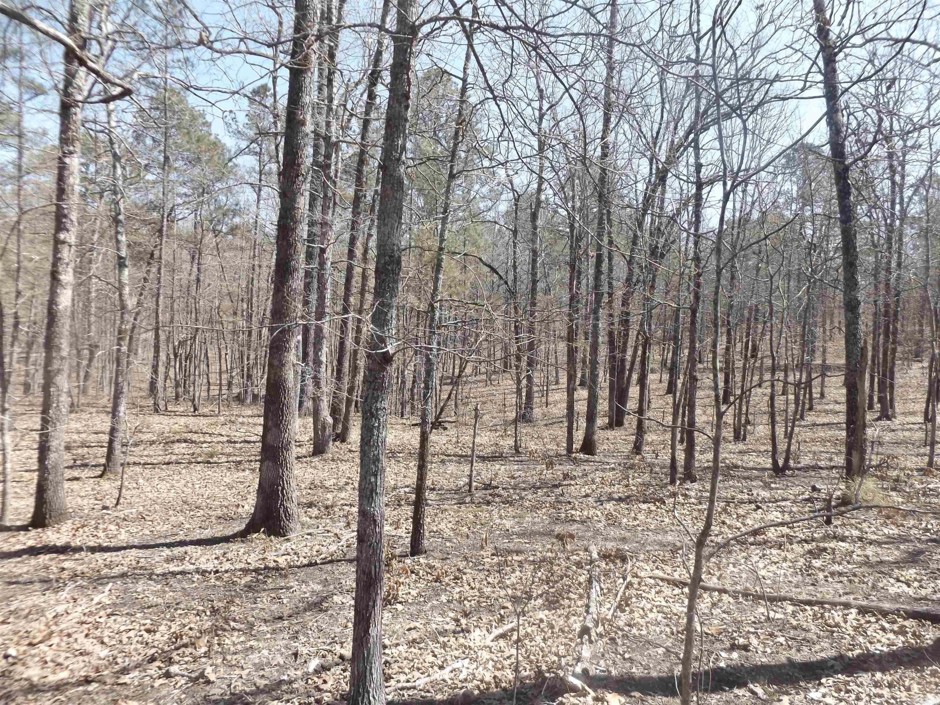 Not in Subdivision - Land