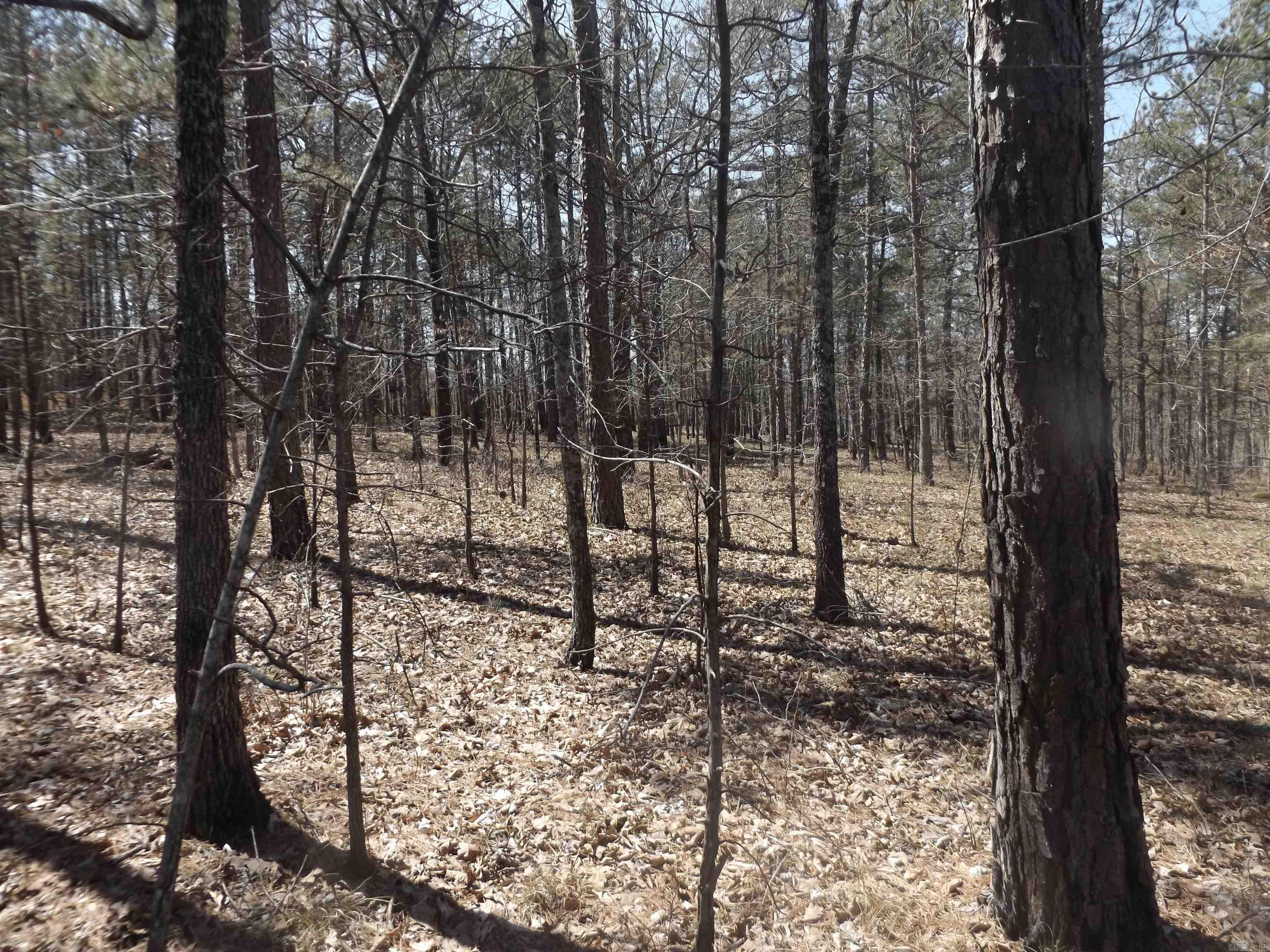 Not in Subdivision - Land