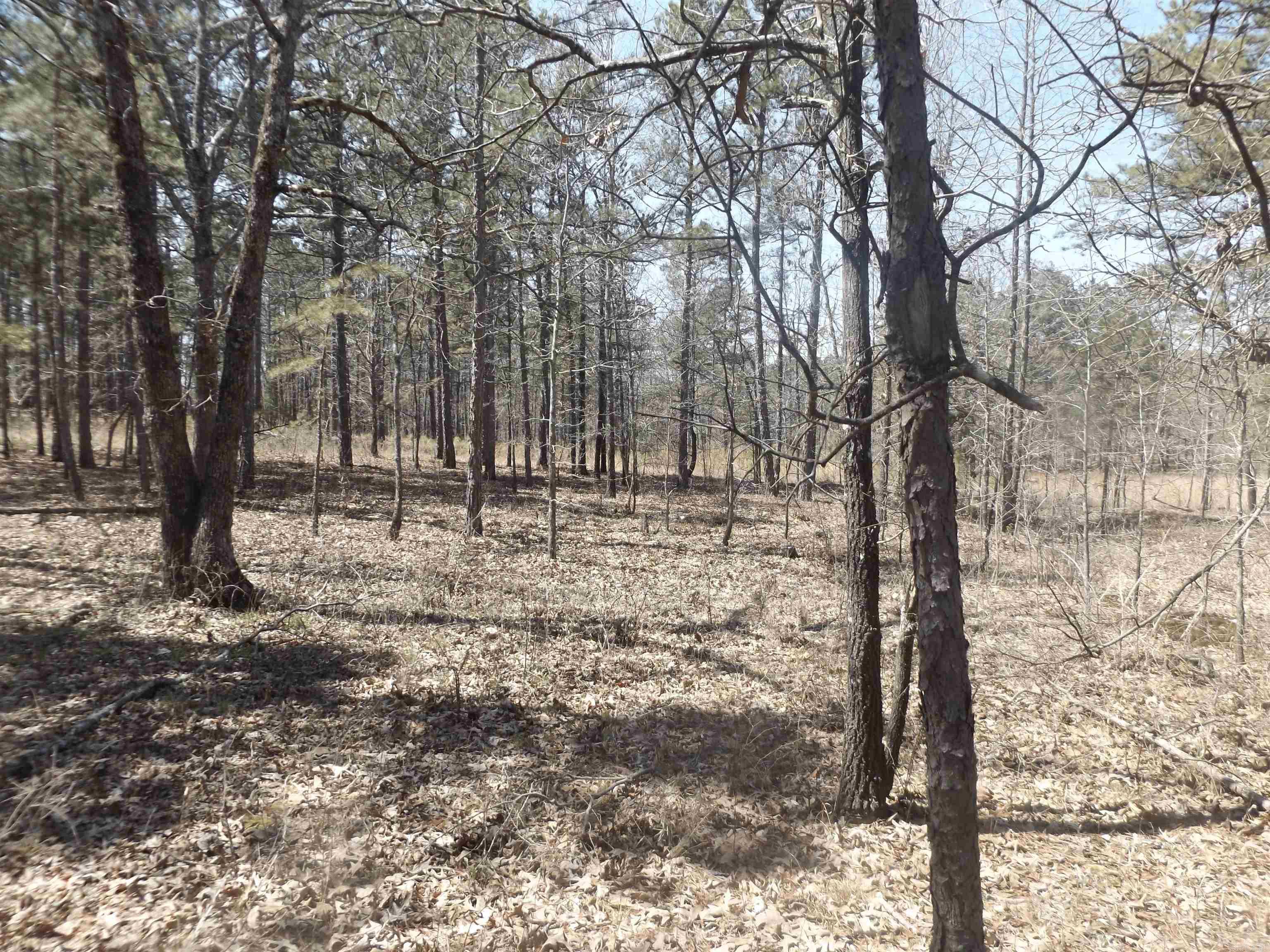 Not in Subdivision - Land