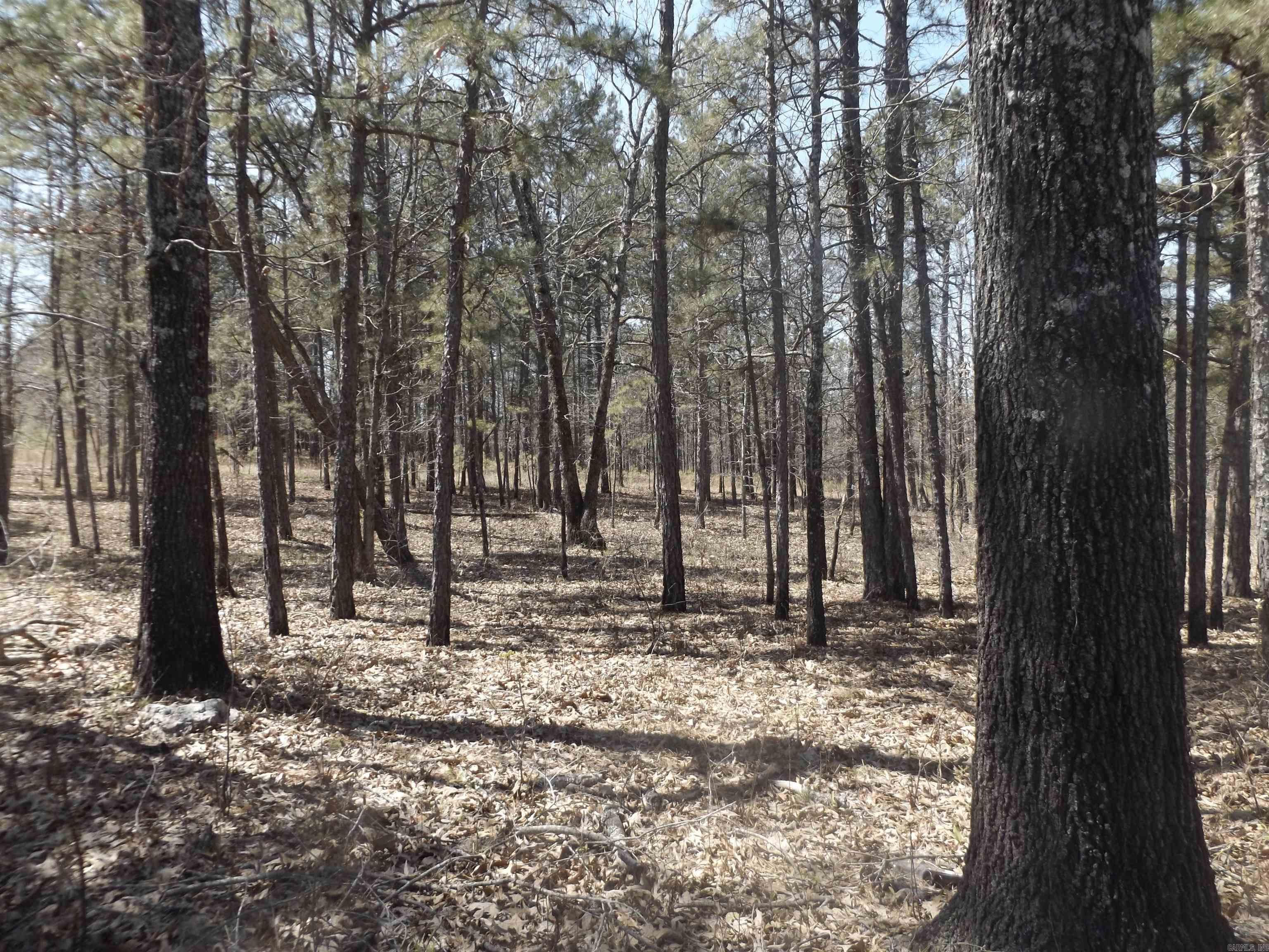 Not in Subdivision - Land