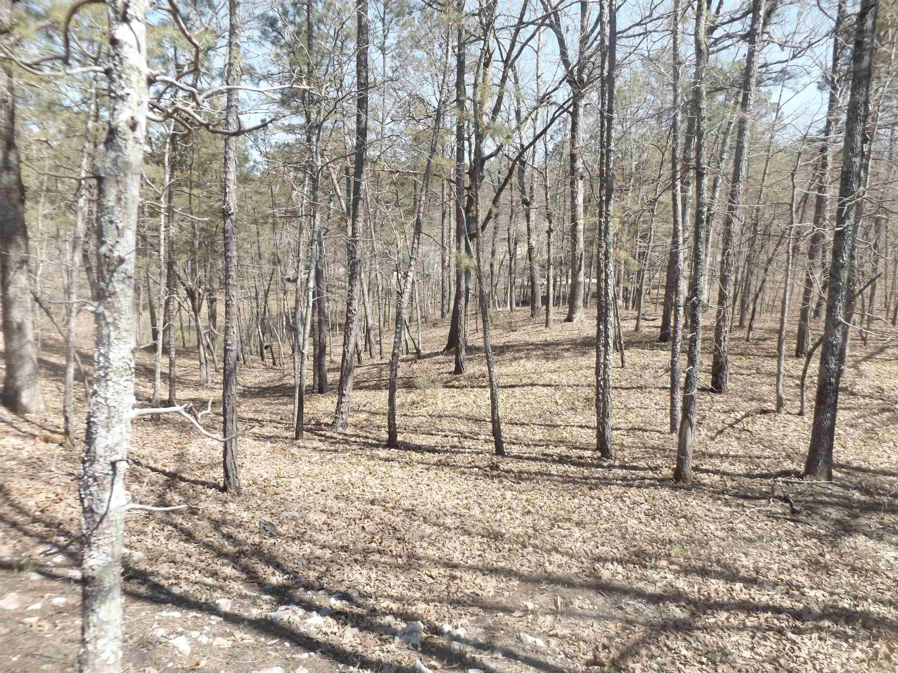 Not in Subdivision - Land