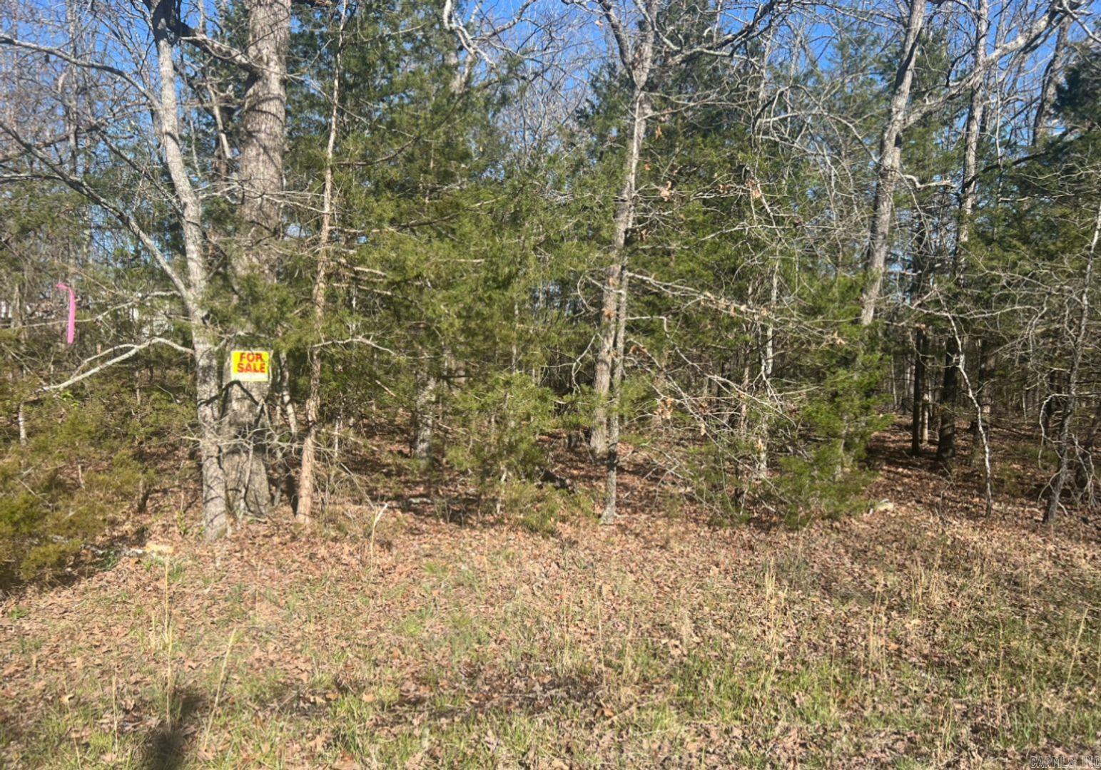 Owner financing is available- This 150 x 90 lot is walking distance to North Lake, Bass Lake and 2 parks! Come and enjoy the gorgeous view and a slower pace of life. Horseshoe Bend has so much to do for the whole family like fishing, canoeing, golfing, bowling, swimming, etc. Diamond Lake & Crown Lake are a 10-minute drive from these lots! Crown Point Resort is also 10-minutes offering local jobs and entertainment! Horseshoe Bend is also ATV friendly, with a permit. They have their own law enforcement, a private airport/airport strip, recycling center, and TELECARE program for the elderly. All within 10-minutes!