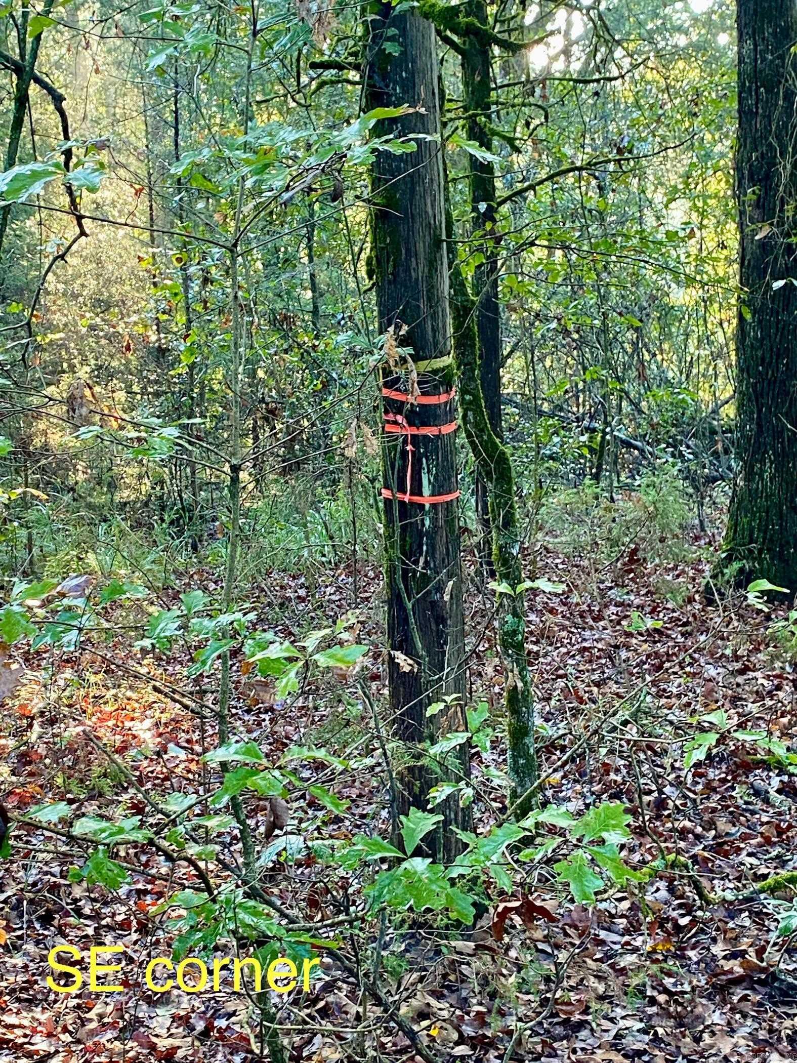 Metes & Bounds - Land