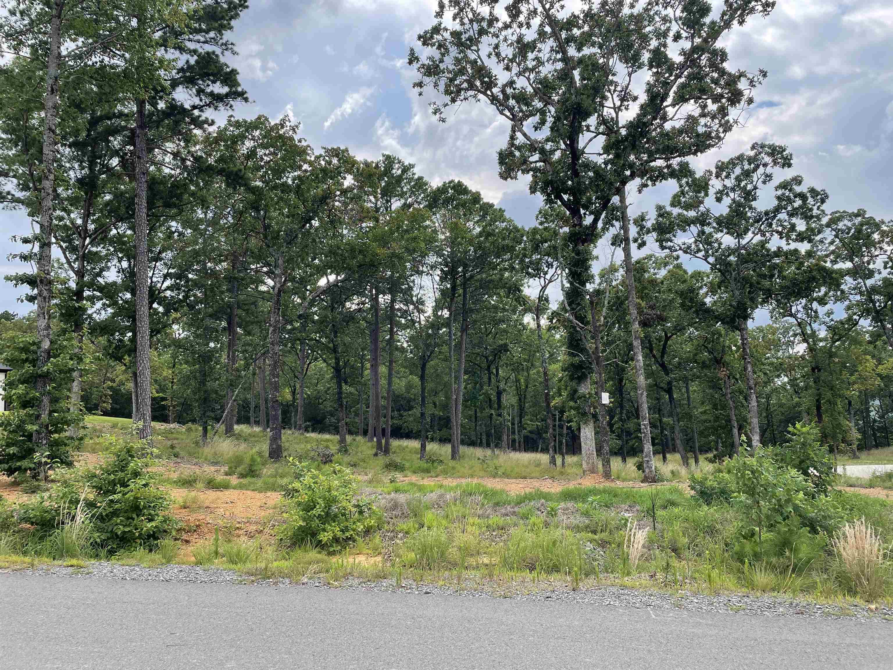 Orchard Hill - Land