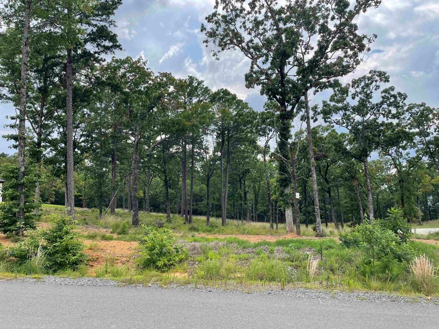 This gorgeous .86 acre residential lot in Orchard Hill Subdivision Phase II is ready to build your dream home on!