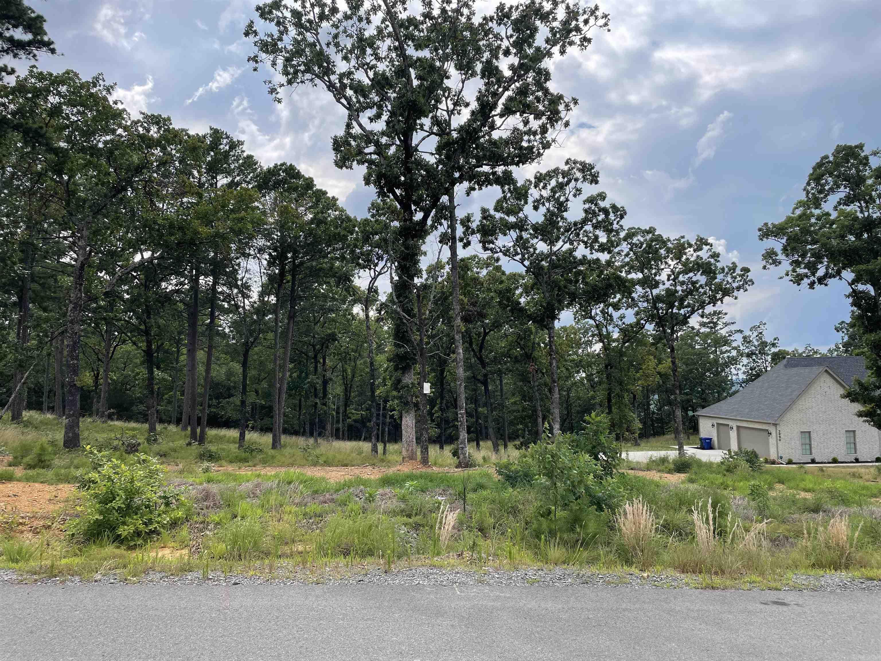 Orchard Hill - Land