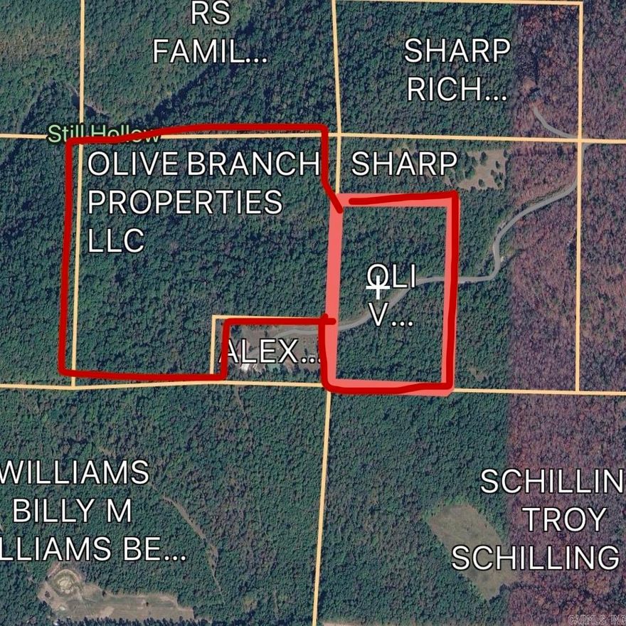 49.91 acres good for hunting land.  Dirt road to property. (Neighbors do have dogs, so do not go without heads up to the neighbor so that they can put their dogs up, see agent remarks).  Contact Listing agent for gate code. See survey online for more details and easement access. Property is wooded. Sellers to retain any mineral rights.