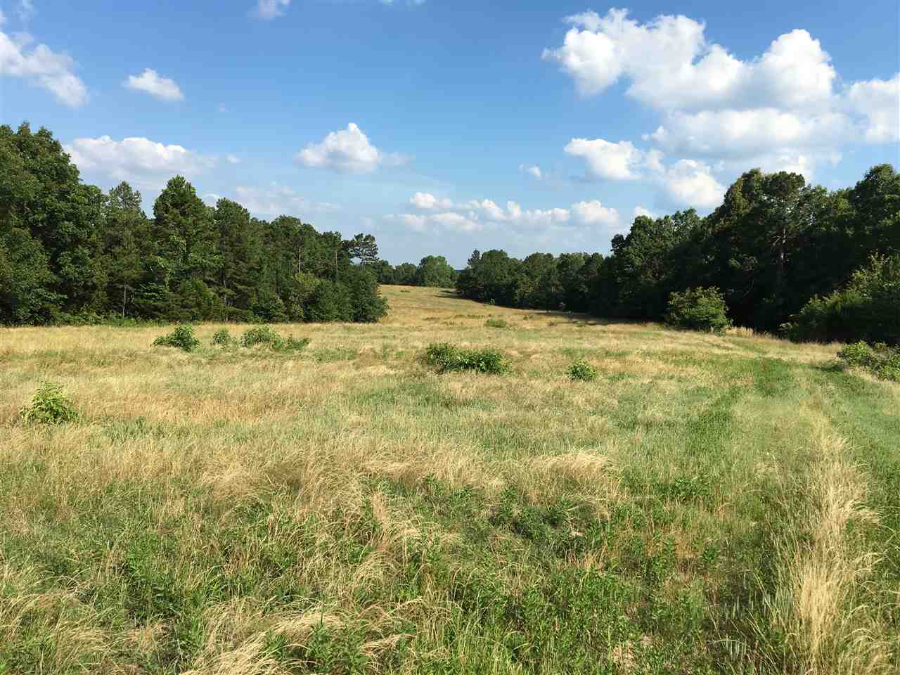 Gorgeous 523+/- acre property that is at the Dead End Of the Road!This property has about 50% hay field and 50% timber.There is a small cabin built in 1960 on property!There is a well and electric at the cabin.There are 3 ponds, a barn and Large Piney year round creek!If your looking for a place where you can hunt, fish, cut hay, run cattle, be at a town in 20 minutes, have dead end road frontage then here you go!This place has it ALL.Lots of Mature whitetail deer, Big Tom turkey and Bear.