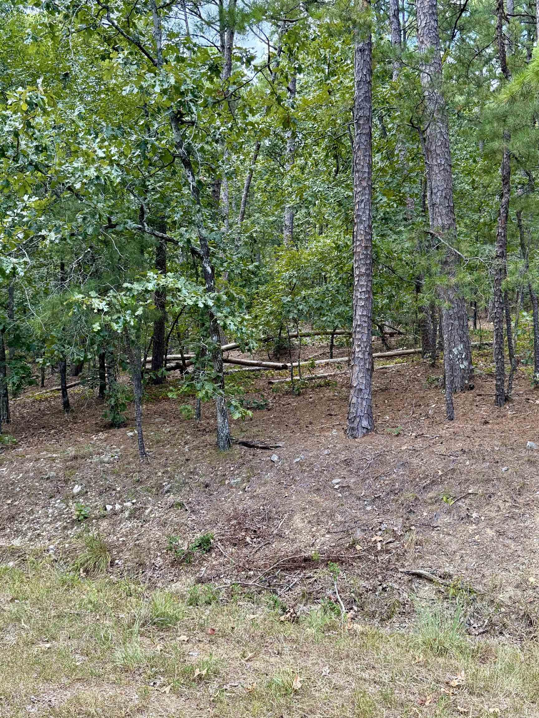 Looking for the perfect spot to build your dream home? This flat, wooded lot at 4 Zaragoza Way is an ideal setting for a retirement retreat or family home. Surrounded by natural beauty and frequent visits from local wildlife, youāll enjoy the peace and quiet of Arkansas living while still being close to everything Hot Springs Village has to offer. Property Highlights: *Flat, buildable wooded lot *Peaceful setting with abundant wildlife *Perfect for a retirement or family home Access to all Hot Springs Village amenities including golf courses, lakes, trails, fitness centers, and more! Donāt miss the opportunity to secure your own piece of Hot Springs Village and design the lifestyle youāve always imagined.