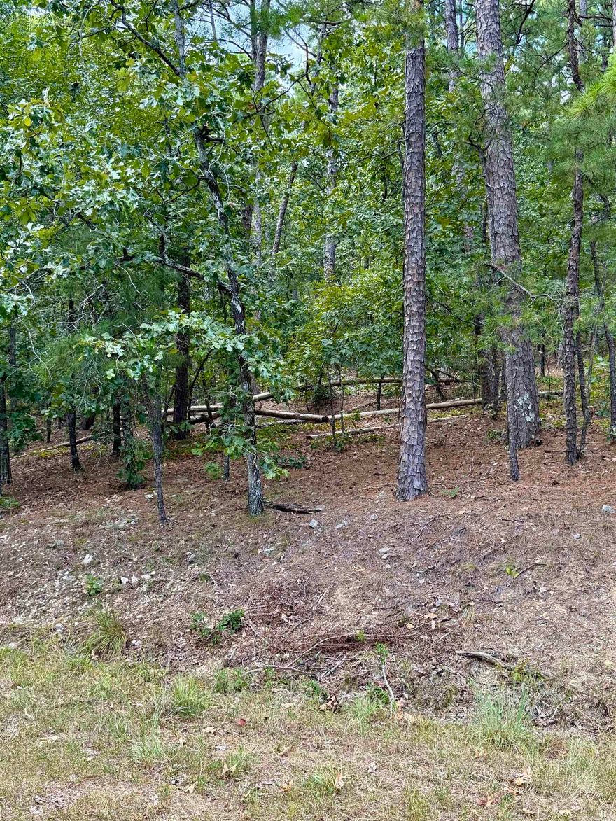 Looking for the perfect spot to build your dream home? This flat, wooded lot at 4 Zaragoza Way is an ideal setting for a retirement retreat or family home. Surrounded by natural beauty and frequent visits from local wildlife, you’ll enjoy the peace and quiet of Arkansas living while still being close to everything Hot Springs Village has to offer. Property Highlights: *Flat, buildable wooded lot *Peaceful setting with abundant wildlife *Perfect for a retirement or family home  Access to all Hot Springs Village amenities including golf courses, lakes, trails, fitness centers, and more! Don’t miss the opportunity to secure your own piece of Hot Springs Village and design the lifestyle you’ve always imagined.