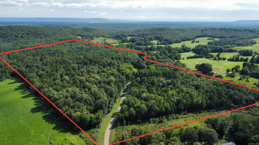 A rare opportunity to own 75 acres with 2 sides joining Ed Gordon WMA on the north end near Cargile Lake. The location of this property offers amazing potential for both recreational use or building your dream home. If you're looking for a place to build there are several open pasture areas or approximately 7 acres to the north of the county road that slopes perfectly to build in privacy and keep the remaining acreage in use for livestock or recreational use. Recreational opportunity on this property is hard to beat especially with the easy access to hundreds of acres of hard to reach public ground holding large deer, turkeys, and occasional ducks if the creek gets out. Take a very short drive down the road to Cargile lake for fishing; or duck hunting during season at Ed Gordon. There is a great stand of marketable timber on this property which could be harvested for future income. If you're into history, there is an old civil war era cabin located near the entrance to the property with stories of battles nearby. The land is 30 Minutes to Conway - 15 minutes to Morrilton - 30 minutes to Russellville. Schedule a tour of this property before its too late!