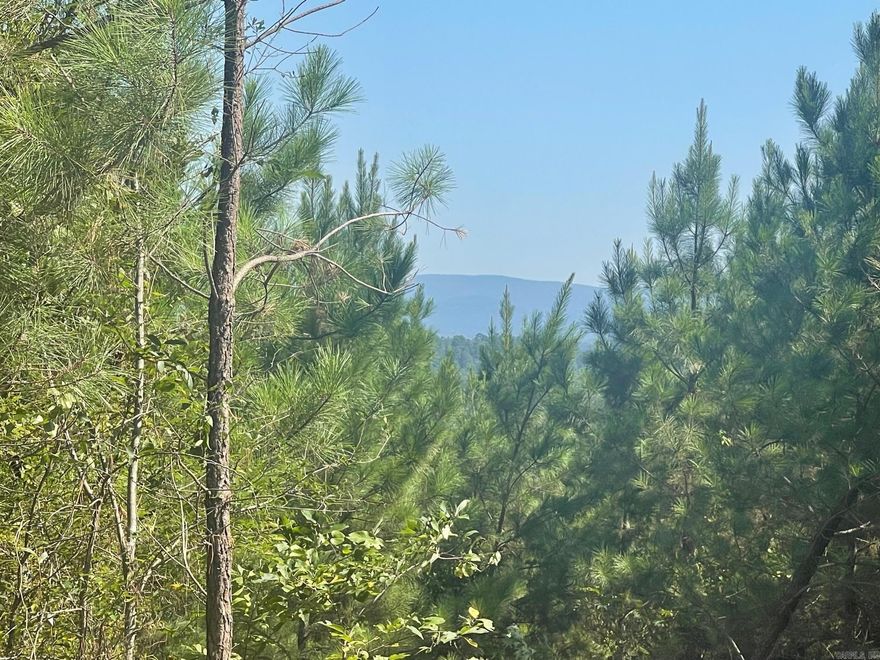 Nice wooded acreage with Great Views and nice Building Site!  Lot #17