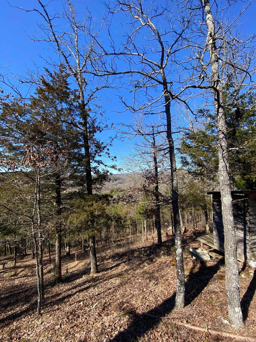 Don’t miss out of the opportunity to own this 10-acre parcel. Contact us today!