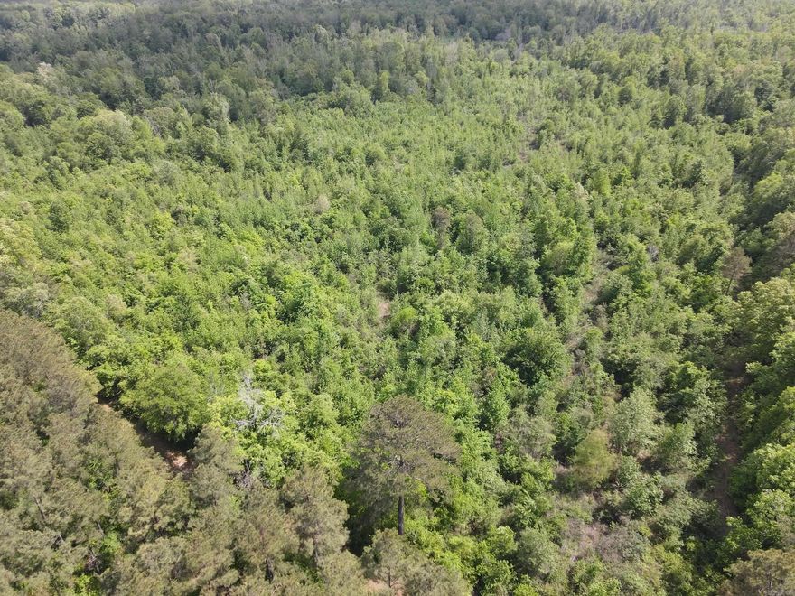 Discover the perfect blend of seclusion, natural beauty, and recreation with this 80± acre tract near Hamburg in Ashley County, Arkansas. Located in the desirable Chemin-A-Haut Creek corridor, this property offers a rare opportunity to own a mature hardwood tract in a proven hunting area.  The land features approximately 40-year-old hardwood timber, creating a well-established ecosystem with excellent habitat for deer, turkey, and hogs. The mix of mast-producing trees and natural cover provides strong hunting opportunities and year-round enjoyment.  The property offers deeded access from County Road 311, combining convenience with privacy. Its layout supports multiple hunting locations, potential food plots, and recreational use such as ATV riding or camping. Additional adjoining acreage is available for expansion.  Ideal for a hunting retreat, recreational getaway, or land investment, this tract offers a manageable size, strong habitat, and a desirable location.  Co-listed with Compass South, Inc.
