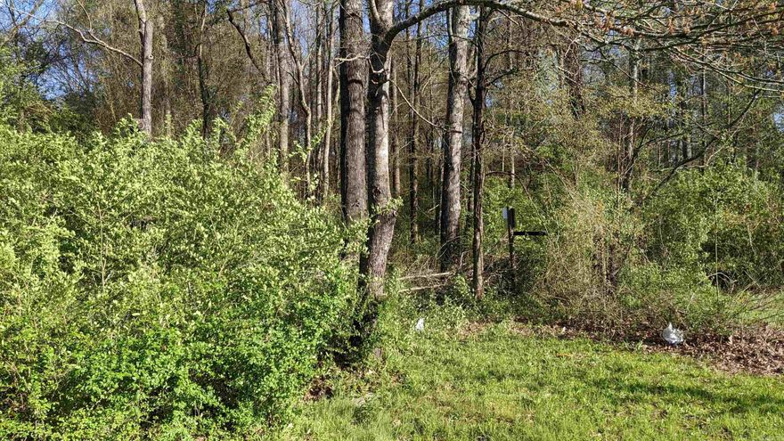 Address is from GPS location. Looking for land to build investment property--here it is. Or have 4 acres to build on with woods.  Feels like you are much farther out in the country when you are close to Ward, with easy access to Beebe, Lonoke, Cabot, etc. Buying land is a good investment.  Here is a way to get started or increase your portfolio.