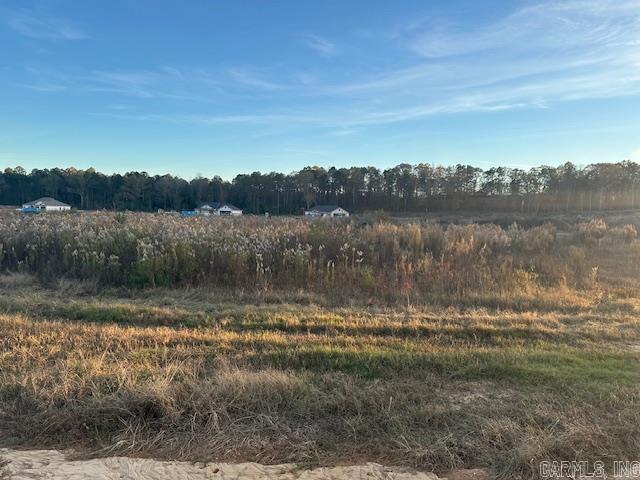Ready to build your dream home?? Don't miss out on this 1.12 acre lot in Winchester Estates! Bauxite School District!!