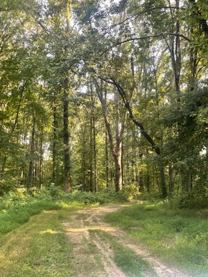 14 WARREN ST, CABOT, AR 72023 - Image 3e9d0e0904091e70837f9c641a8b53dc/68325625
