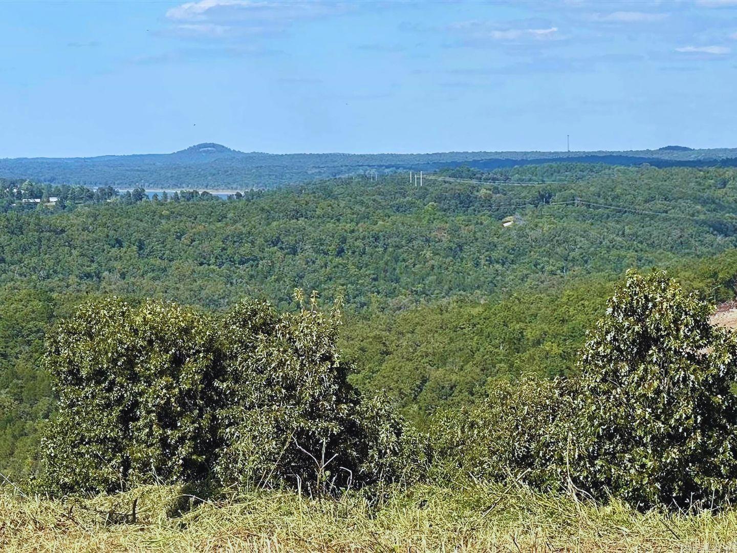 Privacy and wild life awaits you on this 10.31 AC M/L Tract of land with no restrictions. Property needs well and septic. Several level building spots. Close to Lake Norfork, The Norfork and White Rivers. Great potential. $29,900