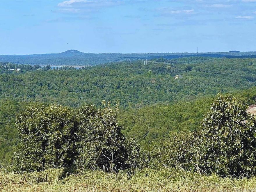 Privacy and wild life awaits you on this 10.31 AC M/L Tract of land with no restrictions. Property needs well and septic. Several level building spots. Close to Lake Norfork, The Norfork and White Rivers.  Great potential. $29,900