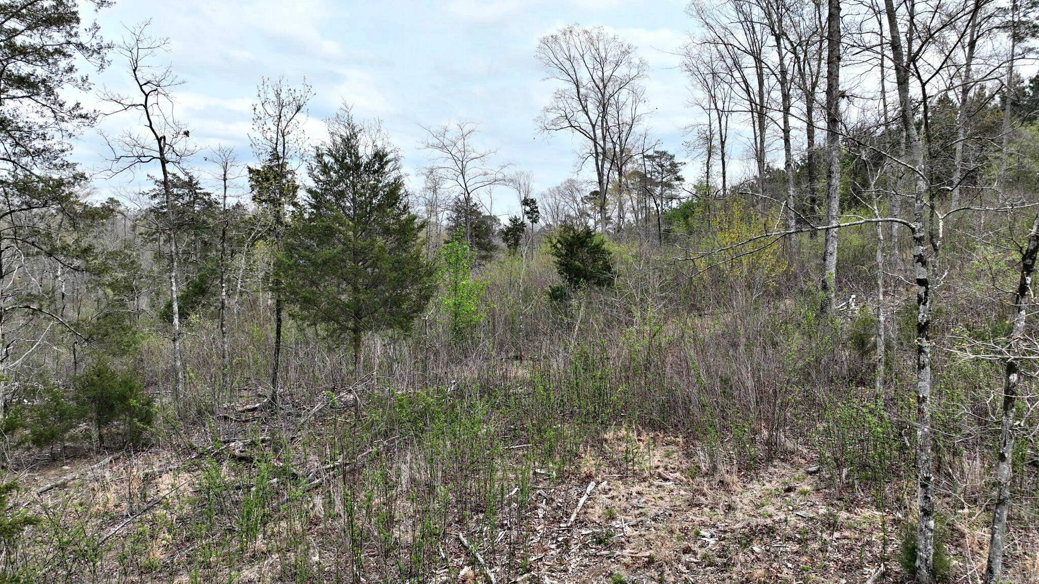 Cherry Hill - Land