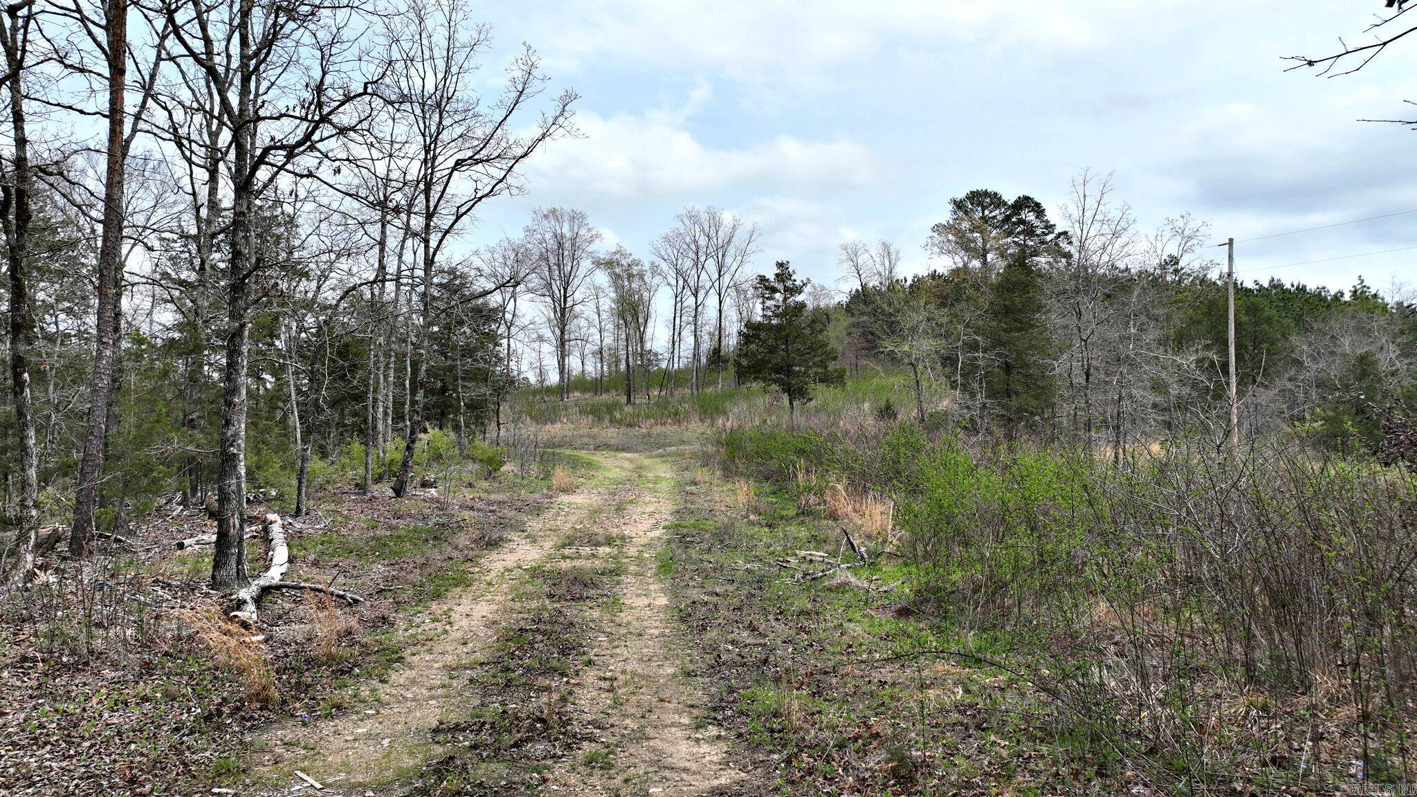 Cherry Hill - Land