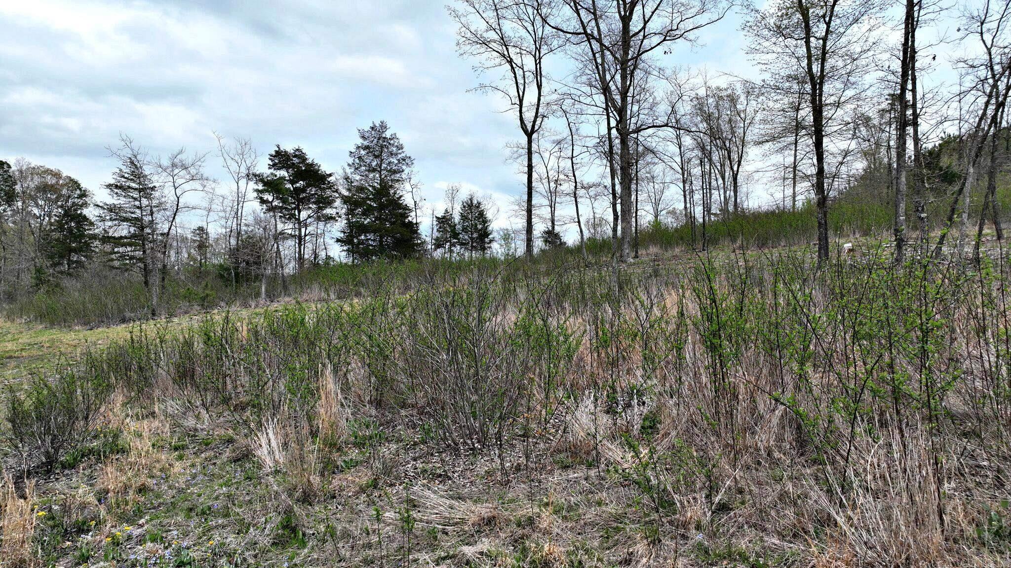 Cherry Hill - Land