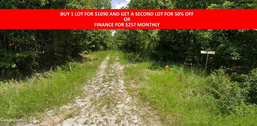 Buy one lot and get 50% off an additional lot! Part of a set of adjoining lots available. Owner-finance for easy terms. Cash buyers can pay by debit or credit card as well. Nice lot to develop or hold for future value. Public water and electric are available to run to property and will need septic. Owner/agent. No mobiles allowed. 300-2500 minimum build size on any other type of home, depending on subdivision. Finance is 5 months at $257 and closing costs are included. Buyer responsible for any back, current and future taxes owed on this property. Lots marked with red banner are part of promotion. No limit on lots. Buyer responsible for any/all taxes and lots sold "as-is". Quit claim deed conveys.  Parcel ID# 165-12570-000