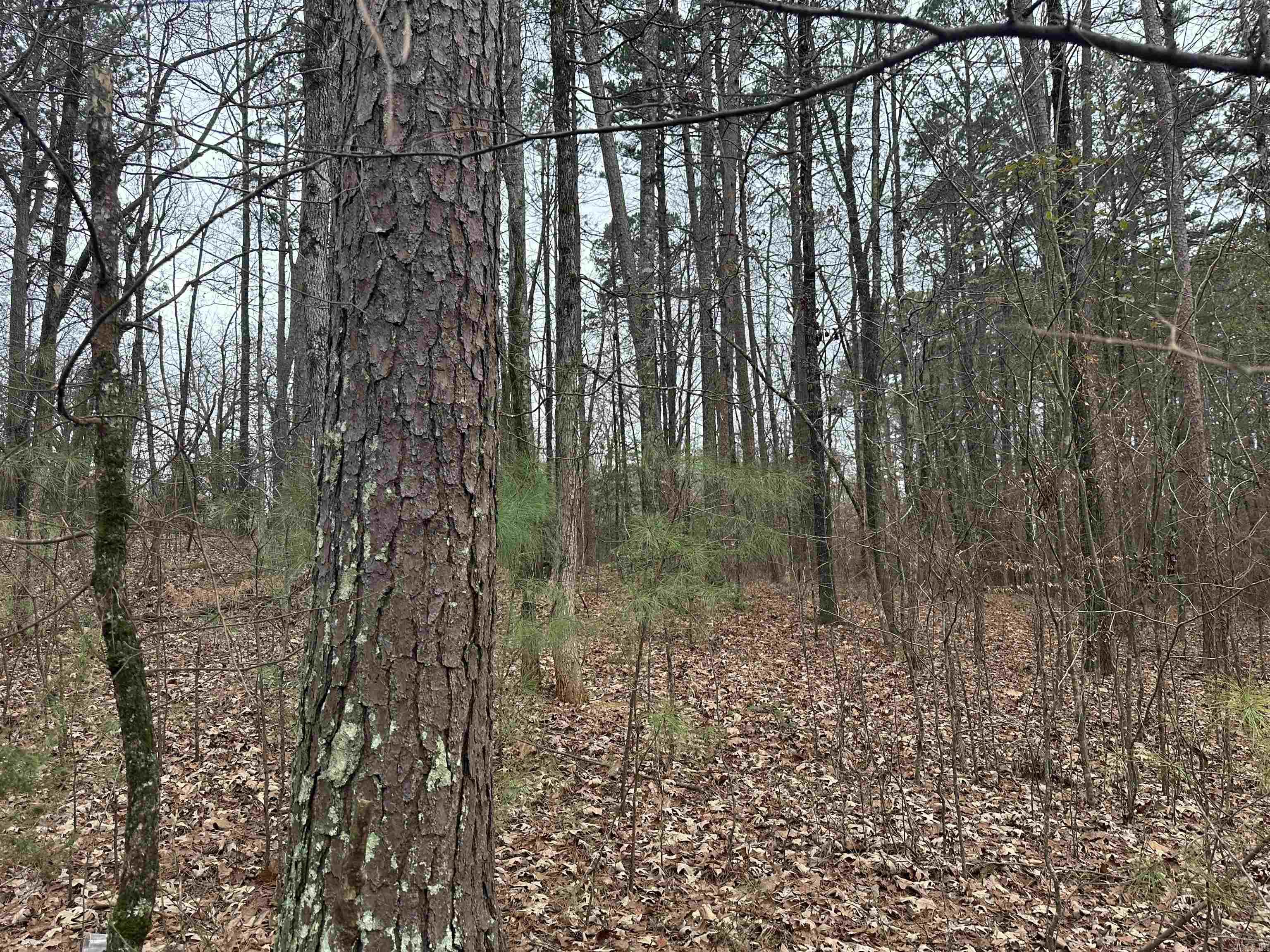 Metes & Bounds - Land