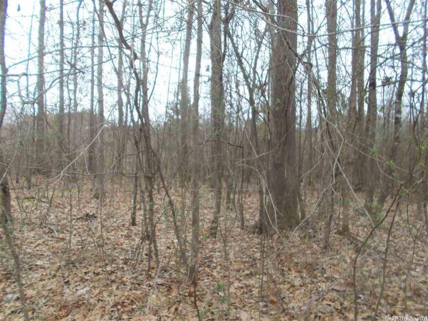 Why not Silver Springs? Some of the few lots left in the County where reasonably priced homes can be built and it is in a great school district! Research Harmony Grove Schools and you'll see! Enjoy wide streets and sidewalks and electric, sewer and water utilities! Across the street from Silver Springs GC #7 teebox. This is in an RD eligible area! Lots are mostly level! Minimum 2200 sf one story homes and 2500 sf for 2 story homes. See Agent Remarks