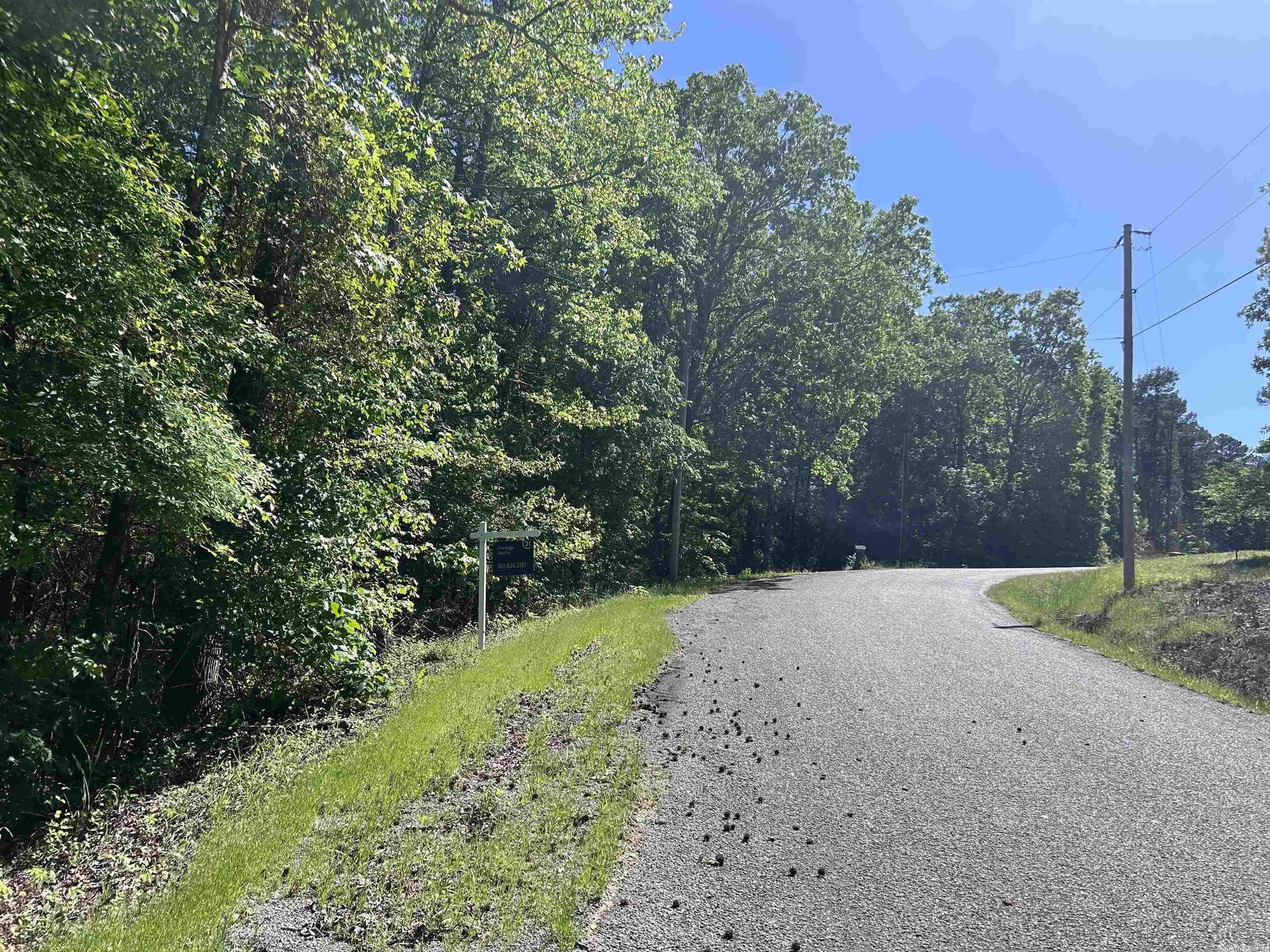 18 beautiful acres in Roland, AR. This property is home to white tail deer, wild huckleberry bushes & muscadine grapes, and a seasonal spring fed stream. There are neighbors but you cannot see them from the property. If you've been wanting a woodland retreat, look no more!