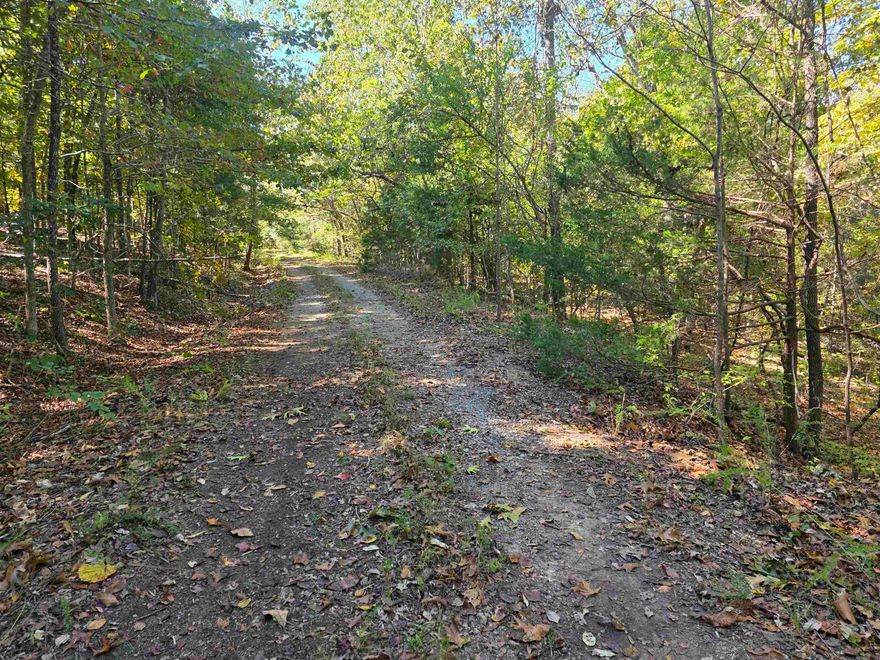 Secluded lot located on the West side of Cherokee Village. Near the South Golf Course and Lake Omaha but hidden away in the seclusion of a wooded area with no other neighbors nearby. Be the first one to build a home in this hidden little gem of an area. Private, quiet and serene. Not a neighbor in site, but you can get out on the highway quick as a hiccup. Come and get a look at this fantastic piece of property and pick your spot for your forever home or build a getaway vacation home.  Don't forget that ownership of this lot comes with access to the Cherokee Village amenities. Cherokee Village has Two 18-hole golf courses to work on your game, 7 lakes to hone your fishing skills and the beautiful Southfork river running through it you are up for a lazy floating trip down the river.