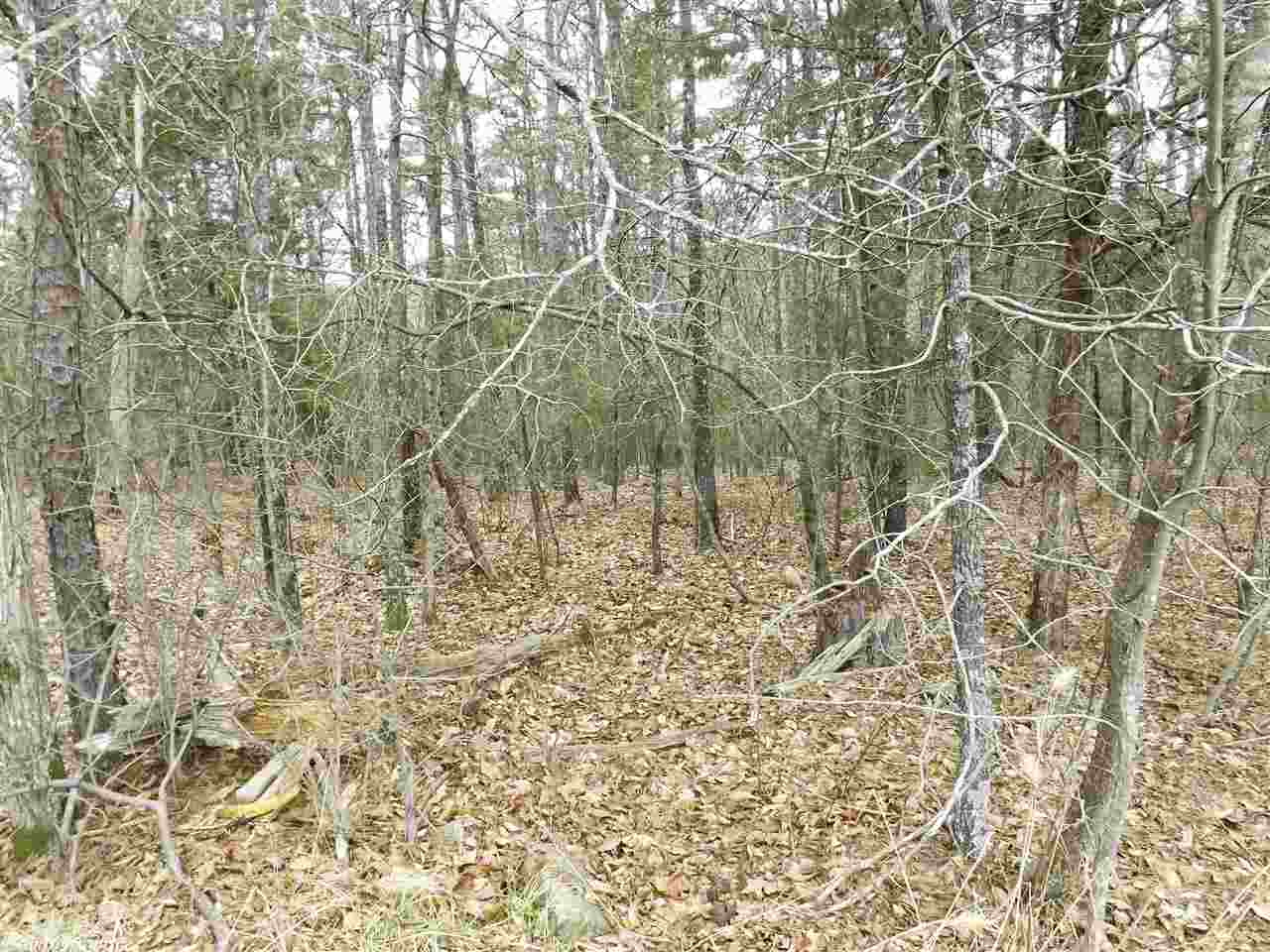 Rocky Branch I - Land