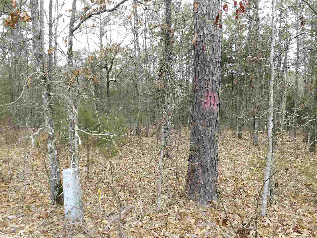 Rocky Branch I - Land