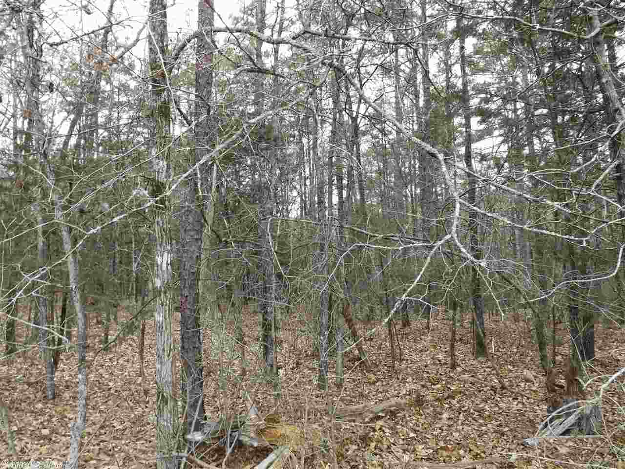 Rocky Branch I - Land