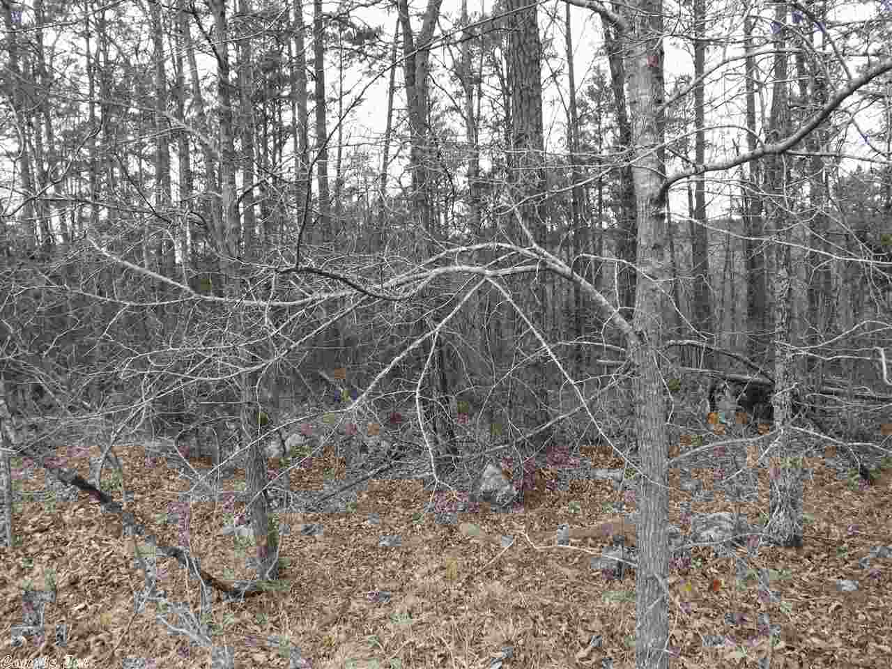 Rocky Branch I - Land