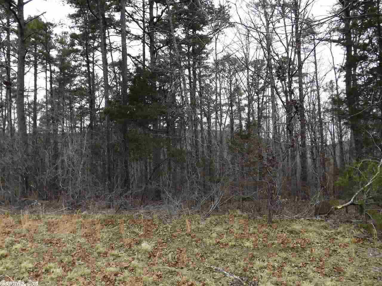 Rocky Branch I - Land